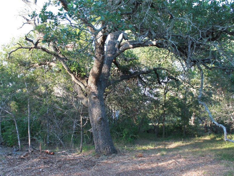 Property photo 27