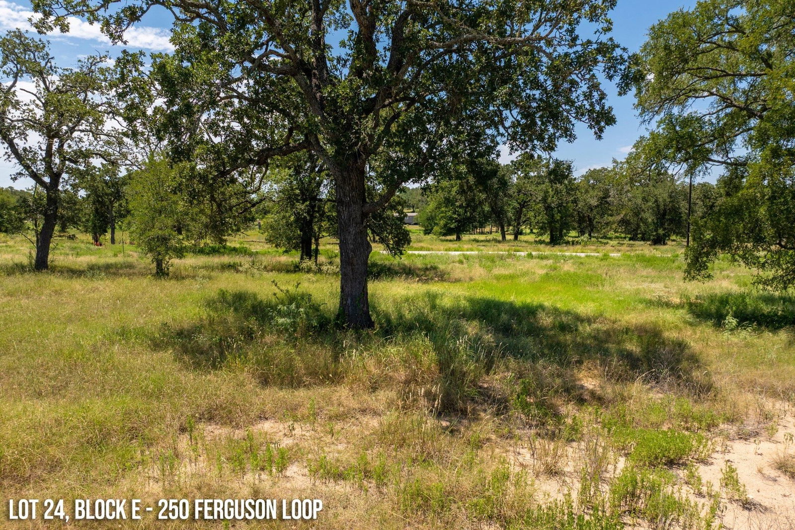 250 Ferguson LOOP - Photo 1