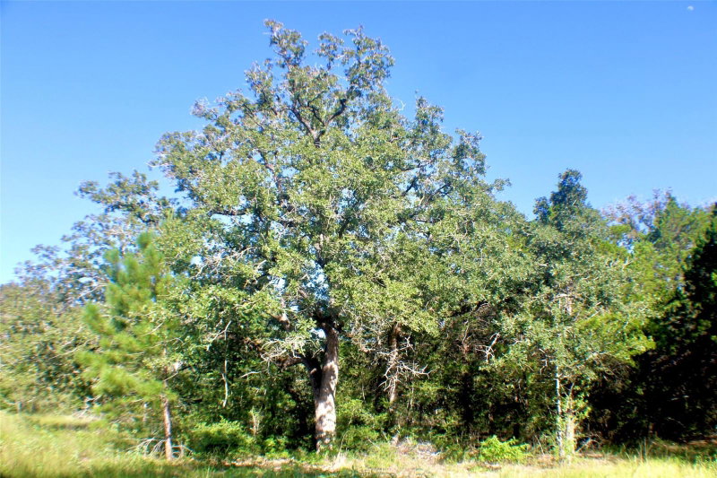 Property photo 18