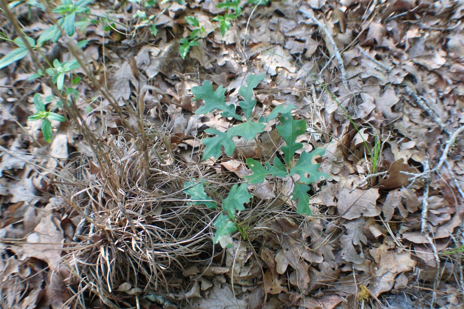 Photo 23