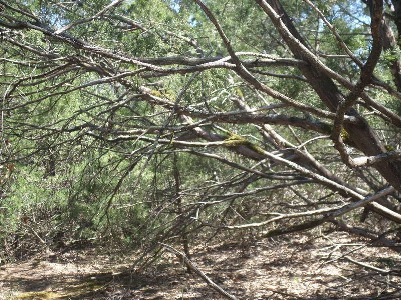 Property photo 17