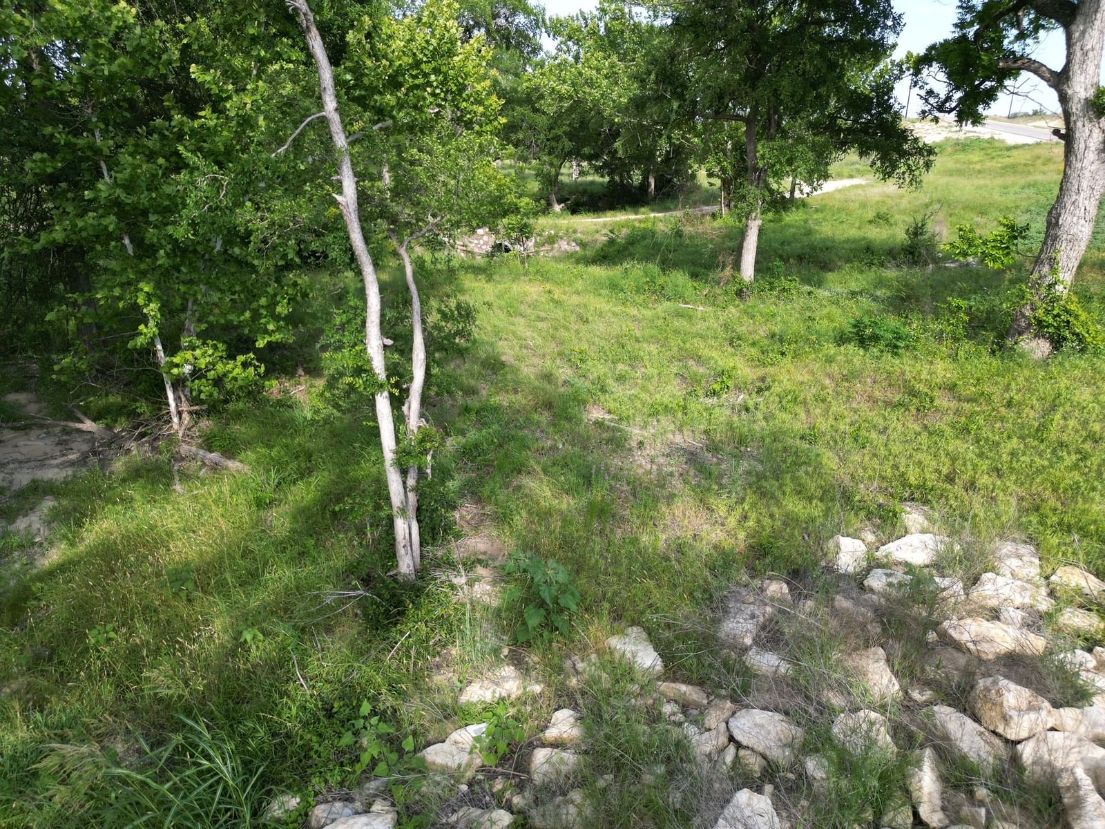 Photo 24