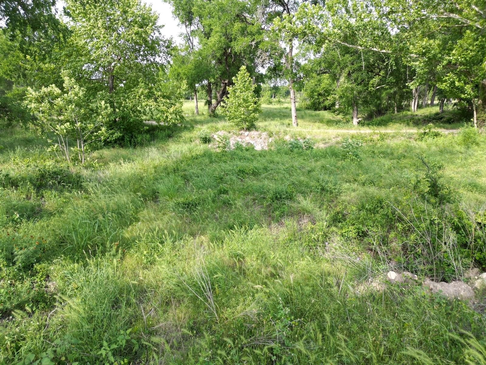 Photo 26