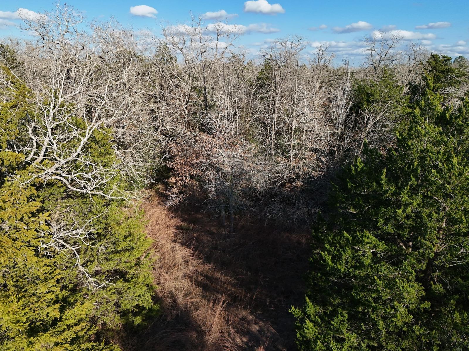 Lot 14 & Lot 15 Antioch RD - Photo 1