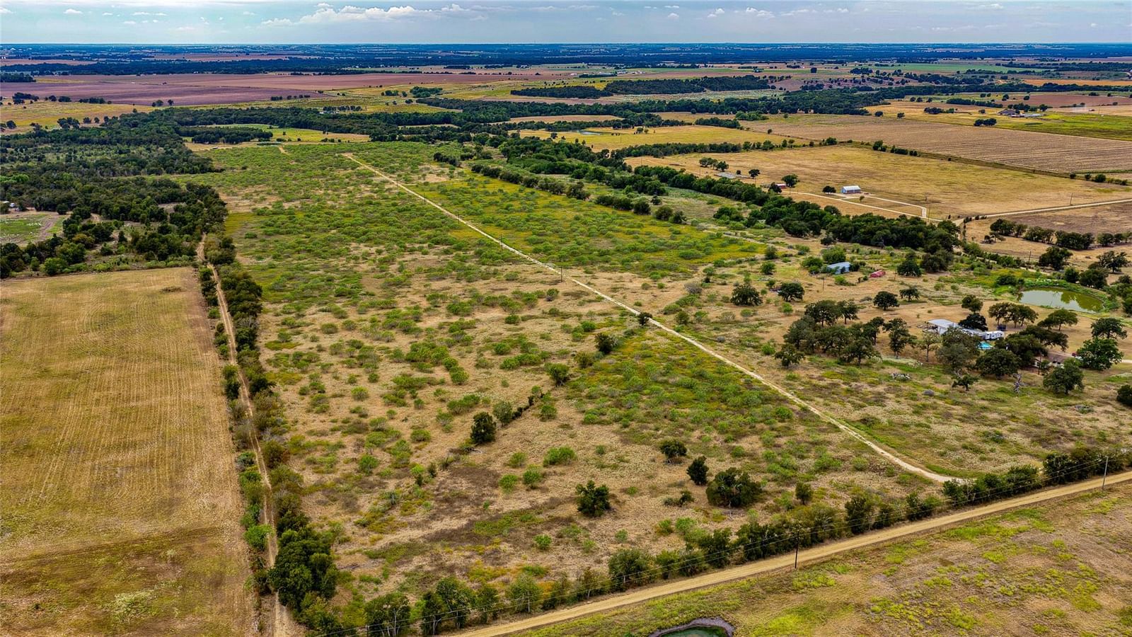 TBD County Road 414 - Photo 1