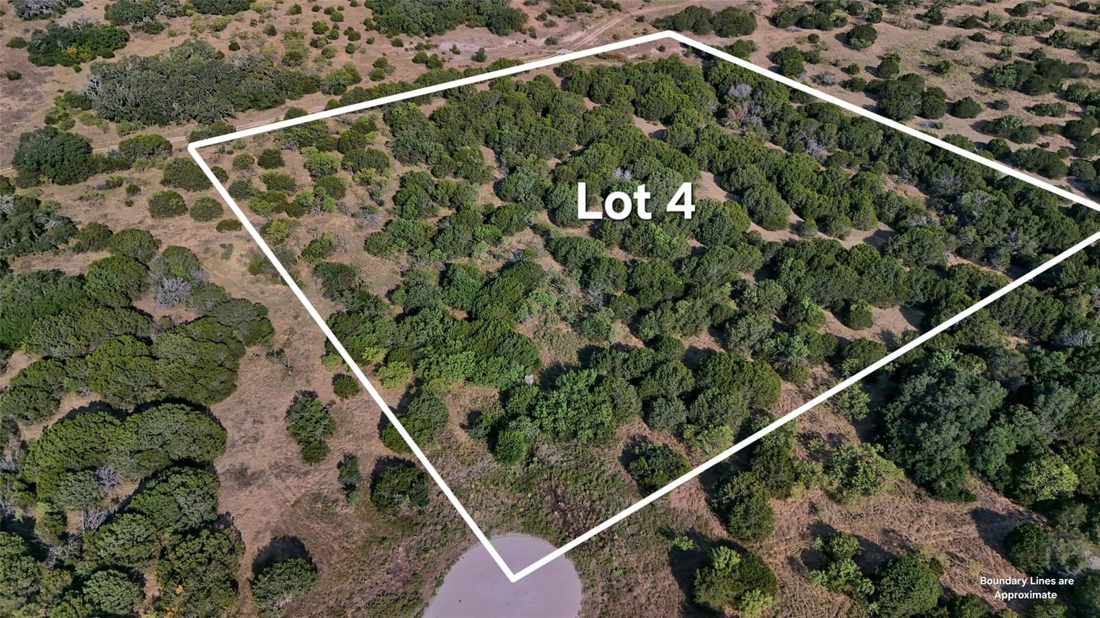 Lot 4 US Hwy 190 Highway - Photo 1