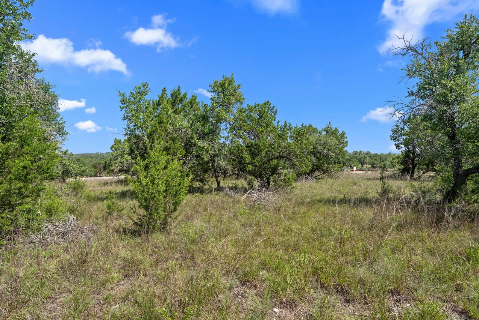 32000 Mirela Ann RD - Photo 1