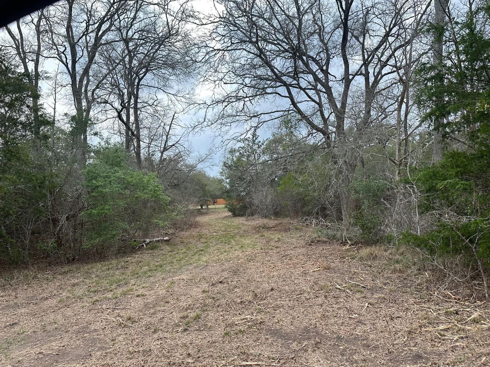 303 FM 609 RD - Photo 1