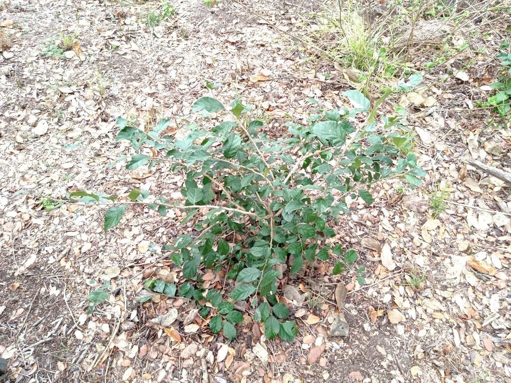 Photo 23