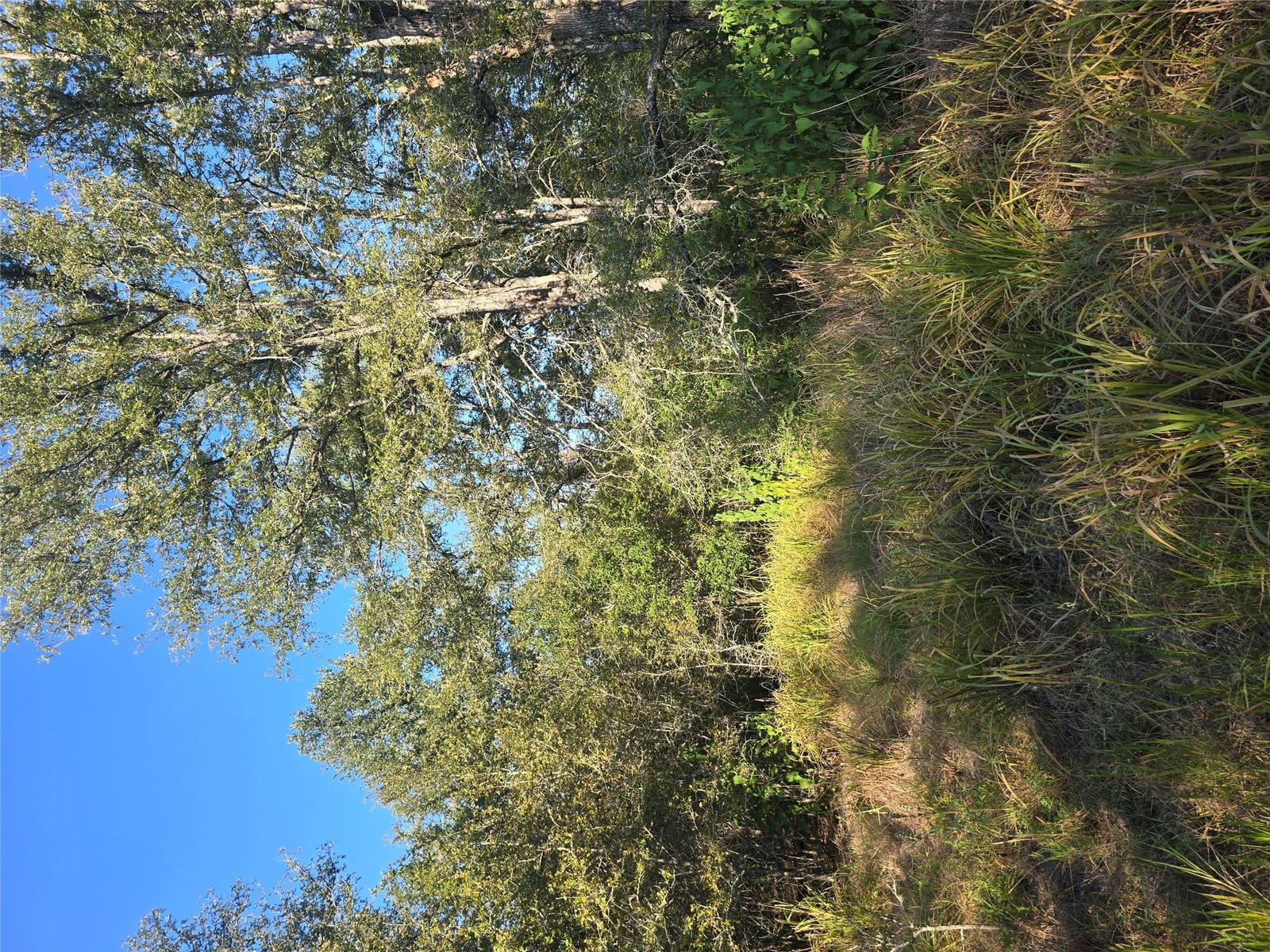 Photo 35