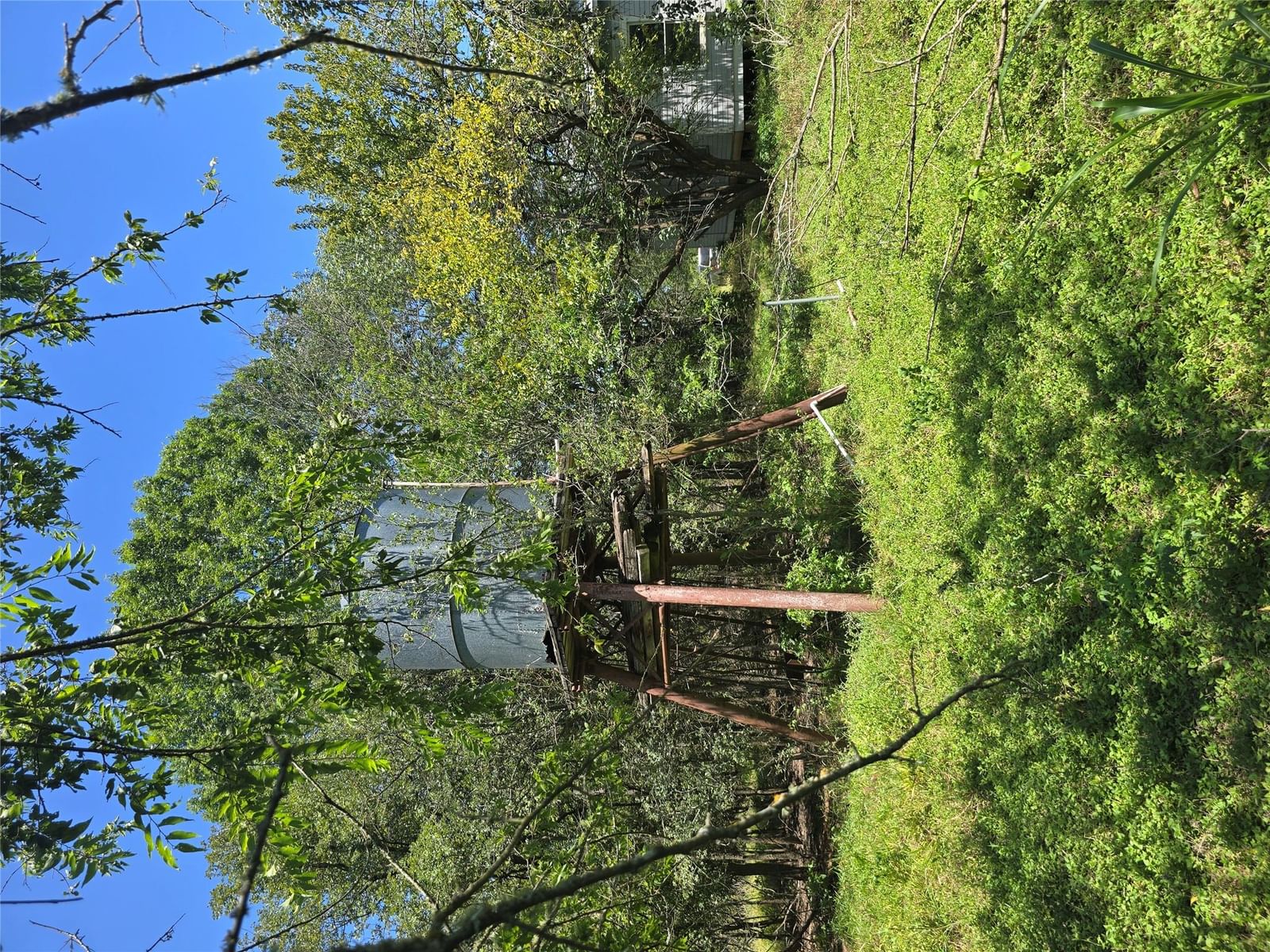 Photo 41