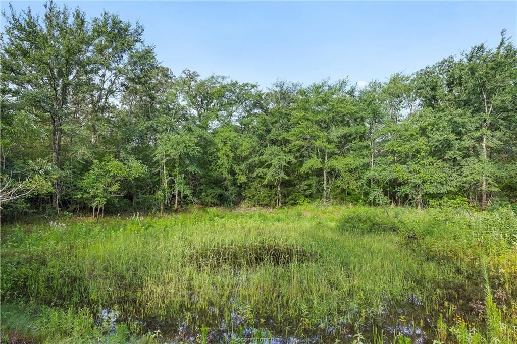 5163 County Road 358 RD - Photo 1