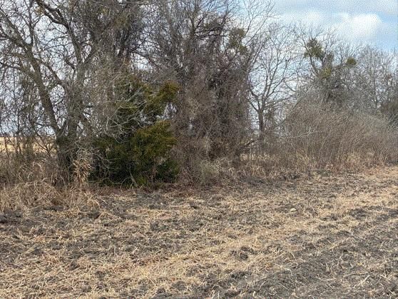 CR 3061 lot 2 Highway - Photo 1