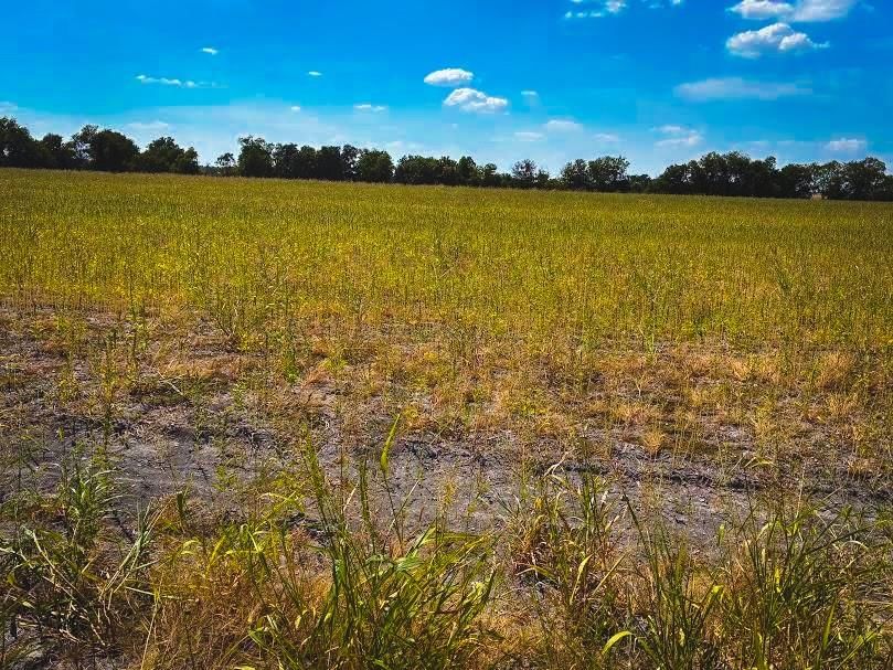 CR 3061 lot 1 Highway - Photo 1