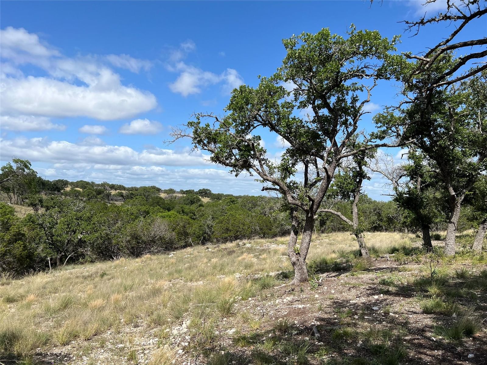 Lot 80 Seven Springs RNCH - Photo 1