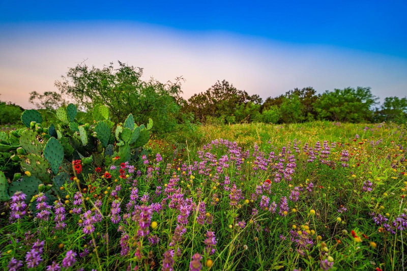 Property photo 30