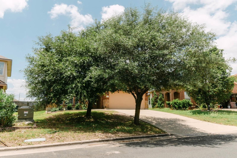 Property photo 33