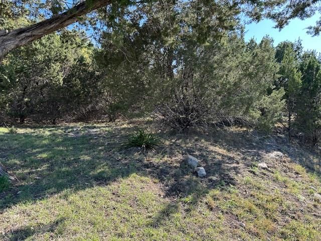 20607 High DR - Photo 1