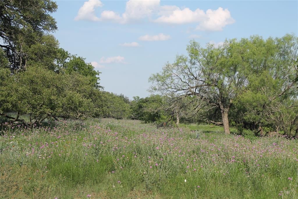 8200 County Road 200 RTE - Photo 1