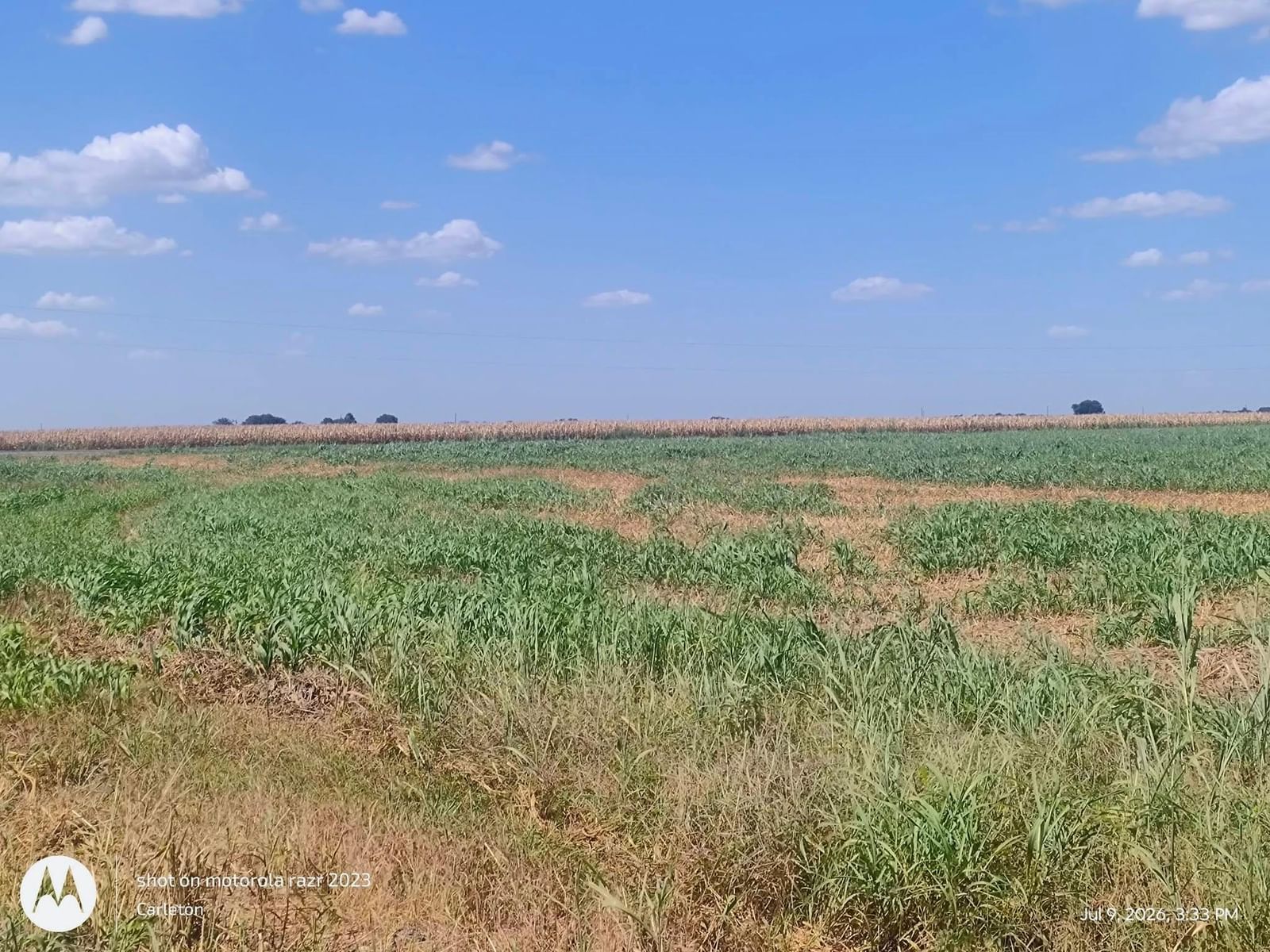 129 County Road 469 - Photo 1