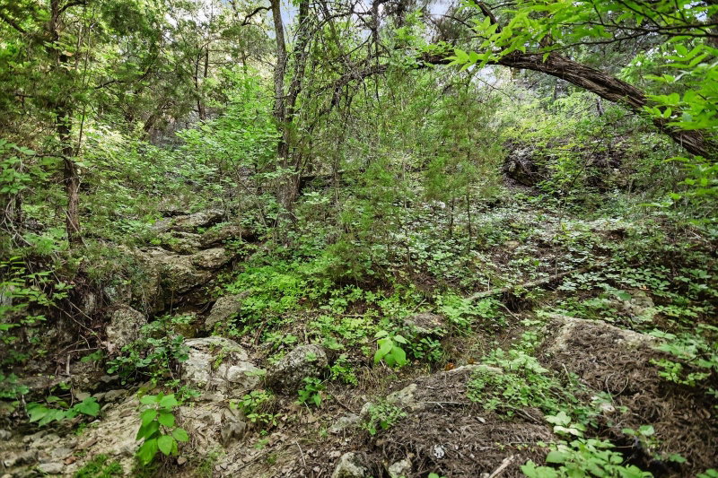 Property photo 18