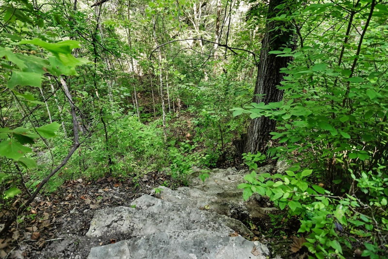 Property photo 22