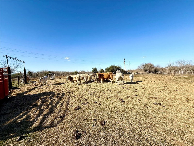 Property photo 25