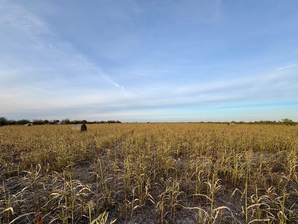 366 County Road 123 - Photo 1