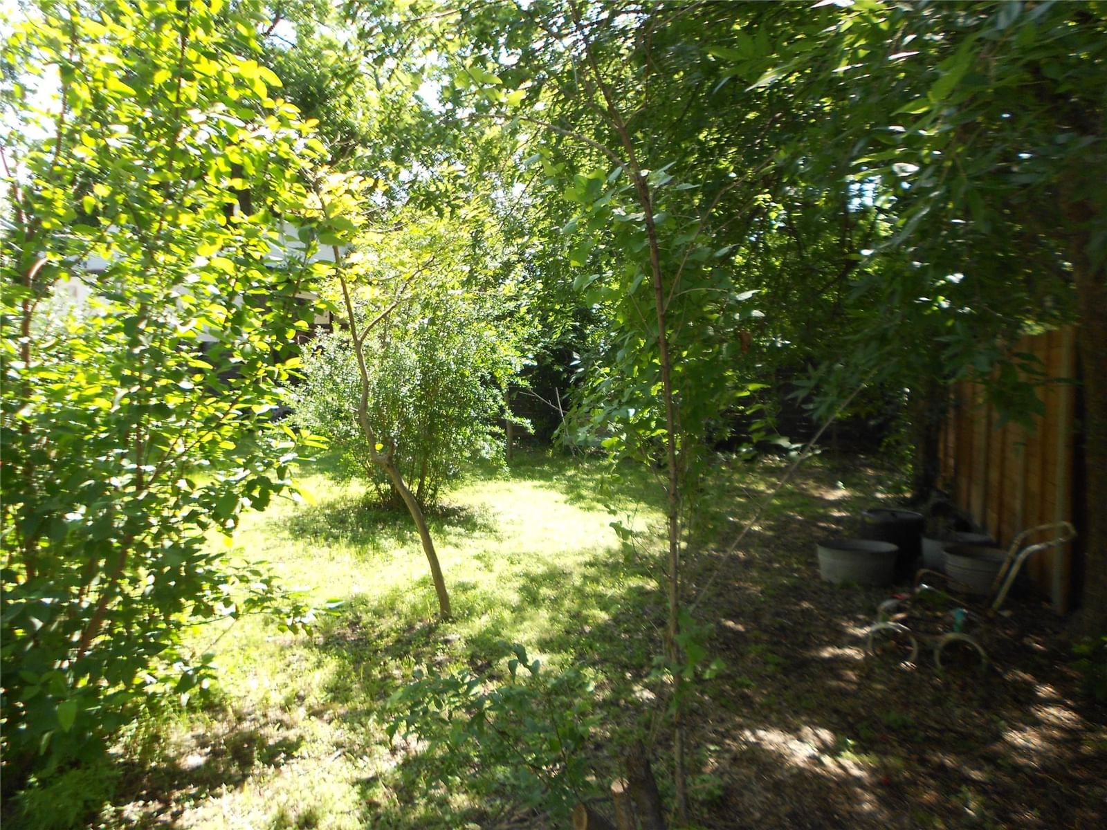 Photo 36