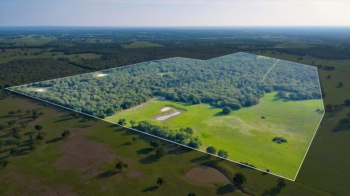 2095 County Road 442 - Photo 1