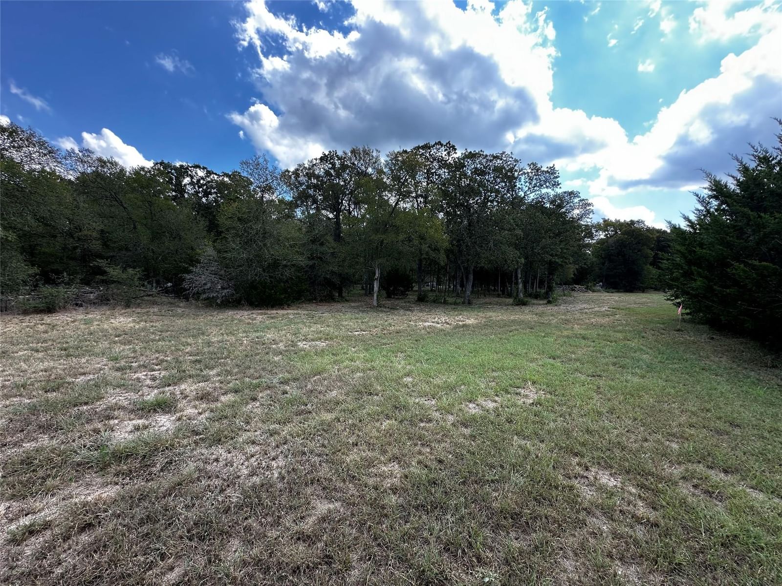 1575 Old Colony Line RD - Photo 1