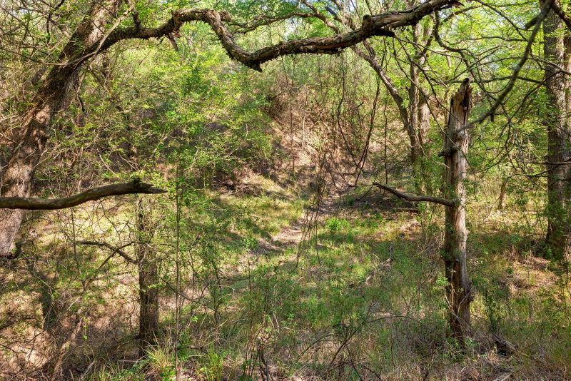Property photo 30