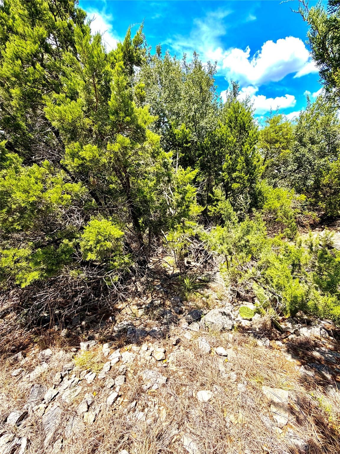 886 Mimosa CT - Photo 1