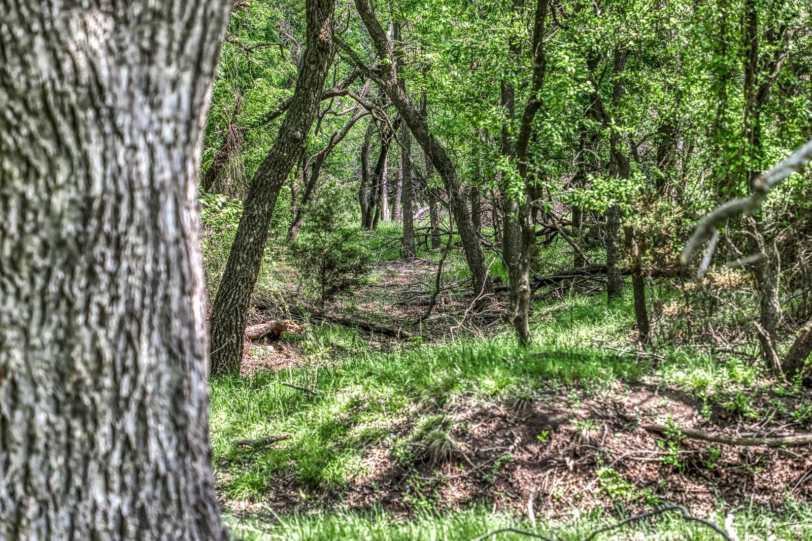 Photo 23