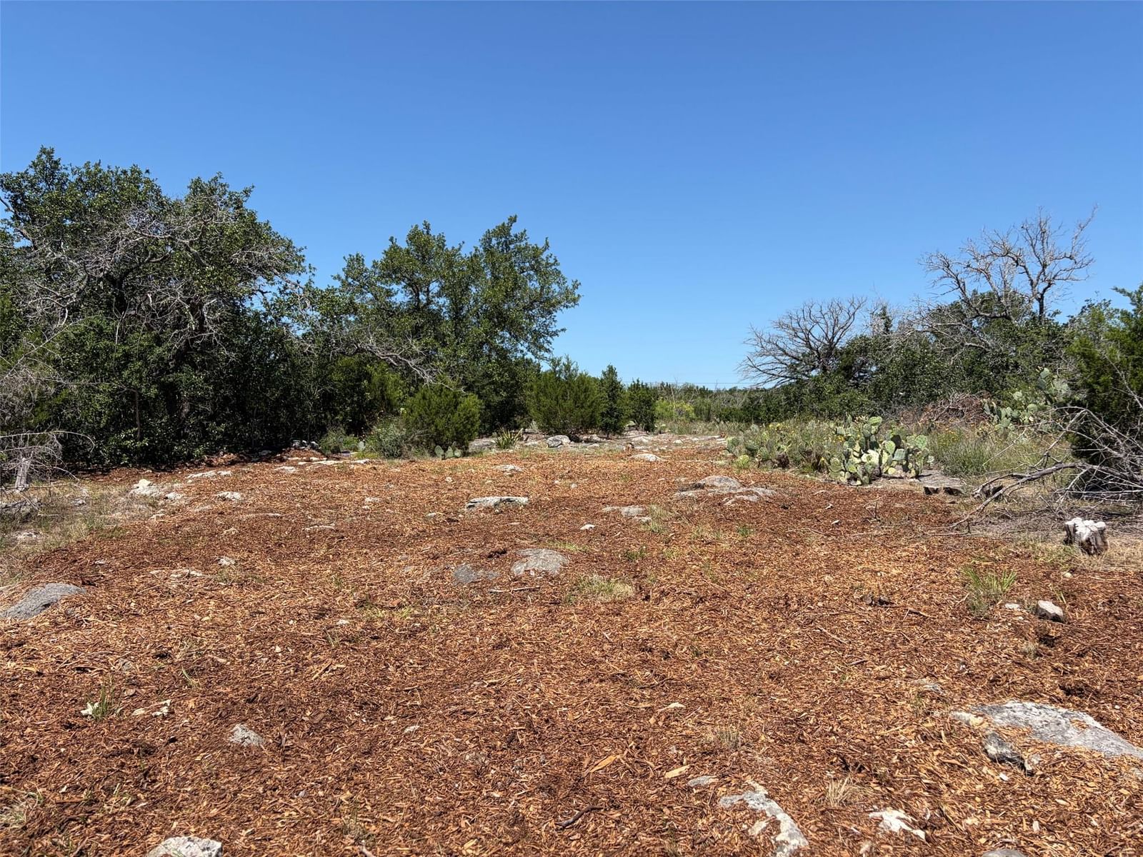 4207 Three Creek TRL - Photo 1