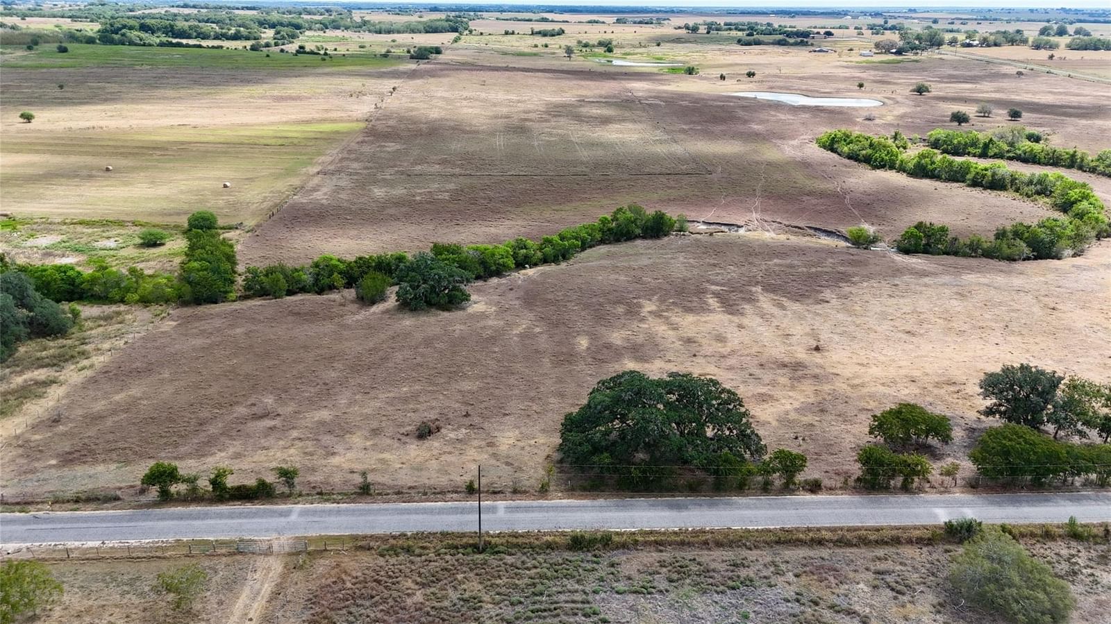 Tract 4 County Road 366 - Photo 1