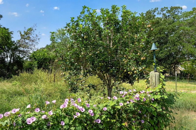 Property photo 30