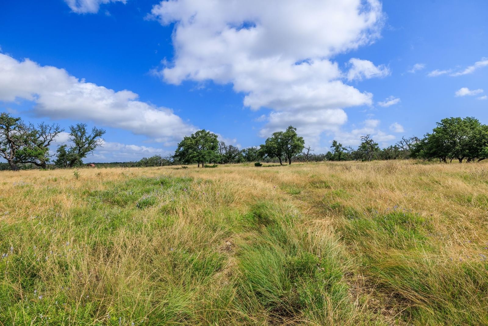 436 Stevens Ranch RD - Photo 1