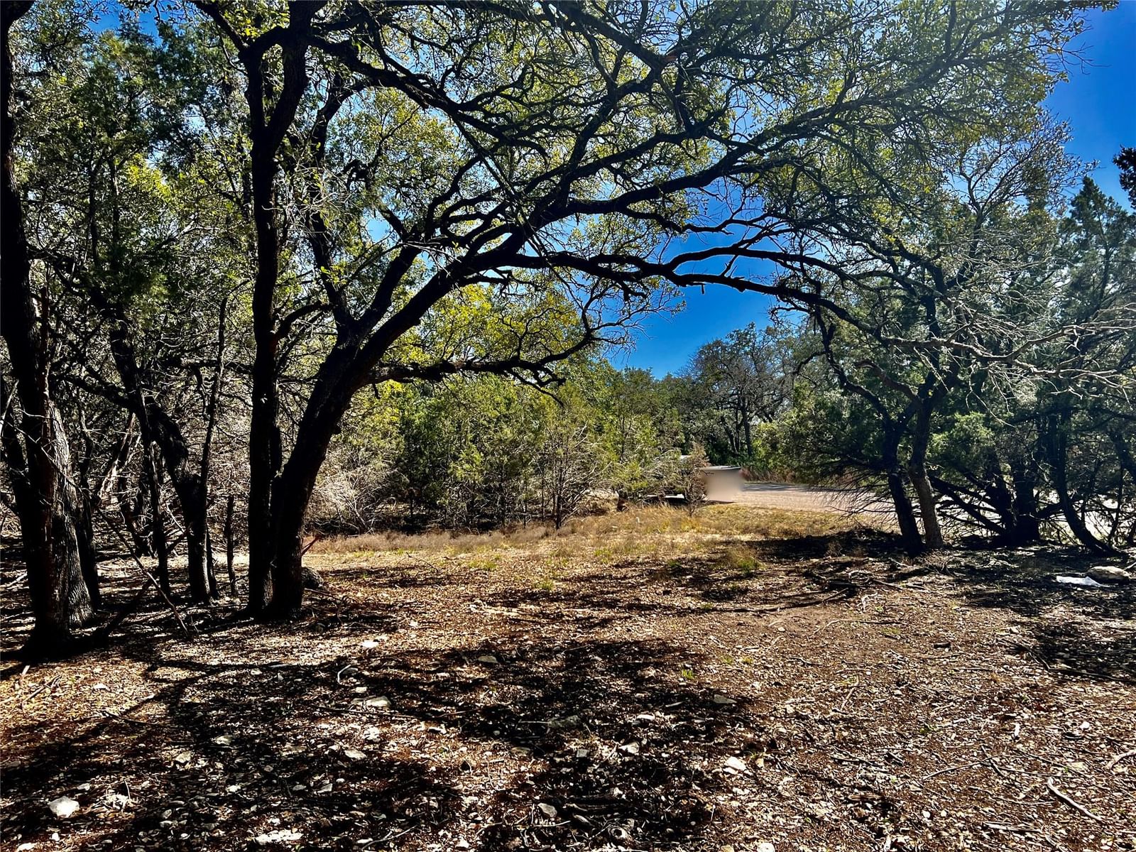21300 HIGHLAND LAKE DR - Photo 1