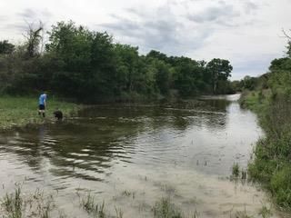 TBD County Road 243 - Photo 1