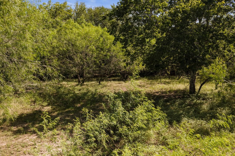 Property photo 25
