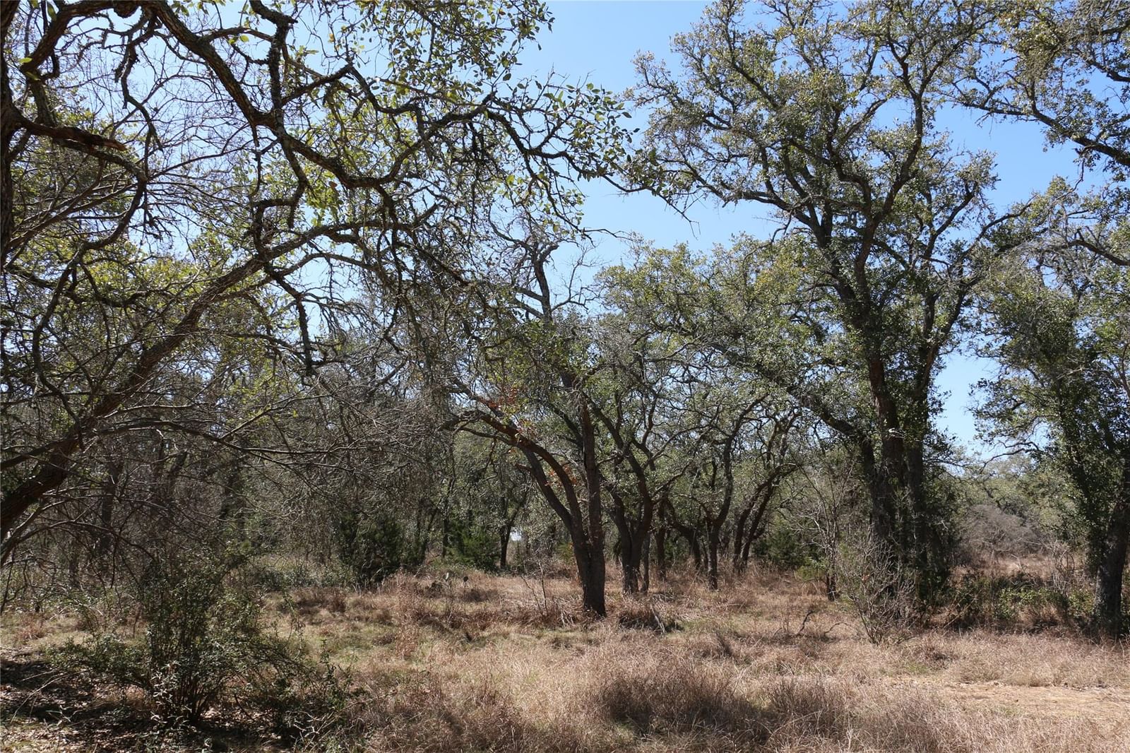 5688 Fm 2325 - Photo 1