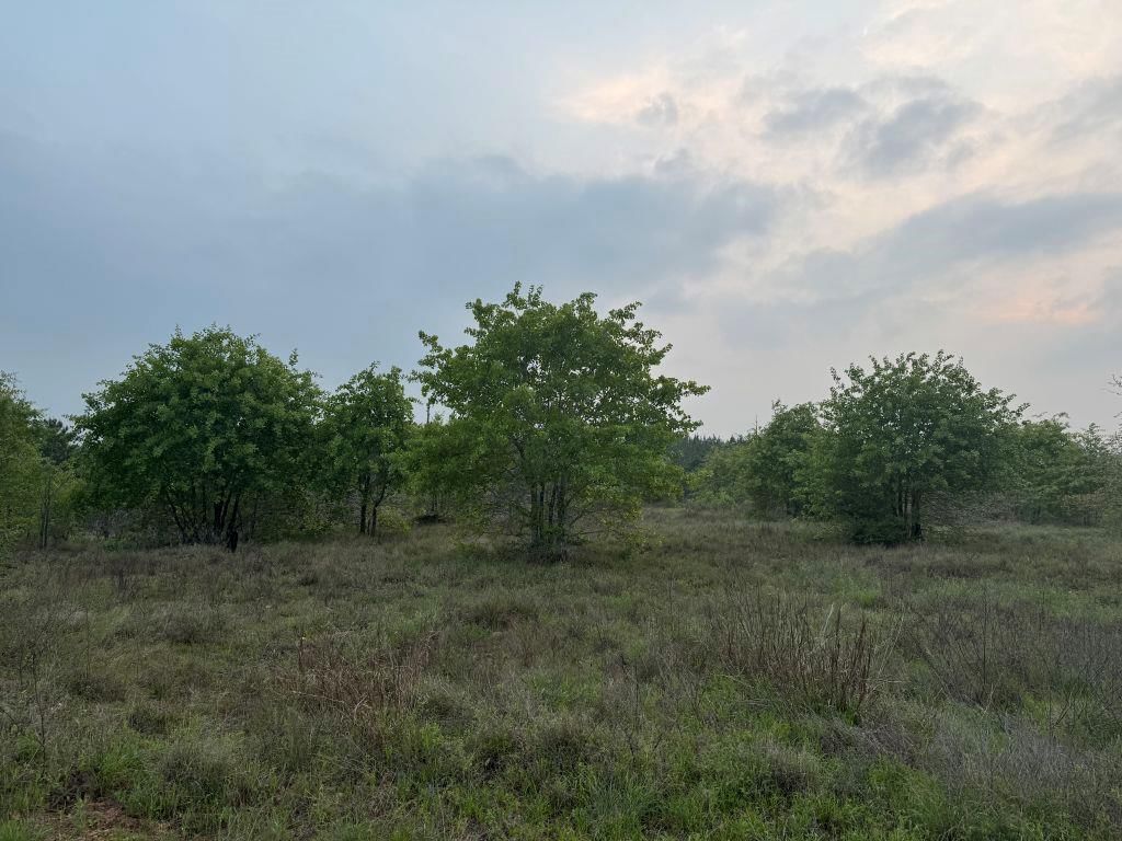 Photo 35