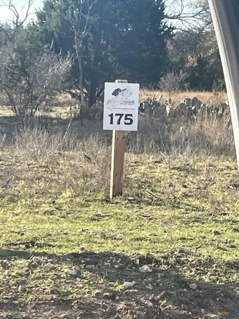 Lot 175 Heartleaf Drive - Photo 1