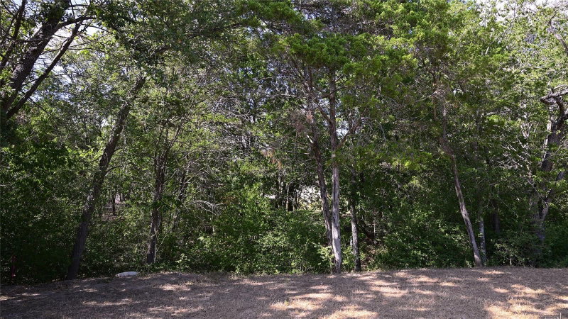 Property photo 36