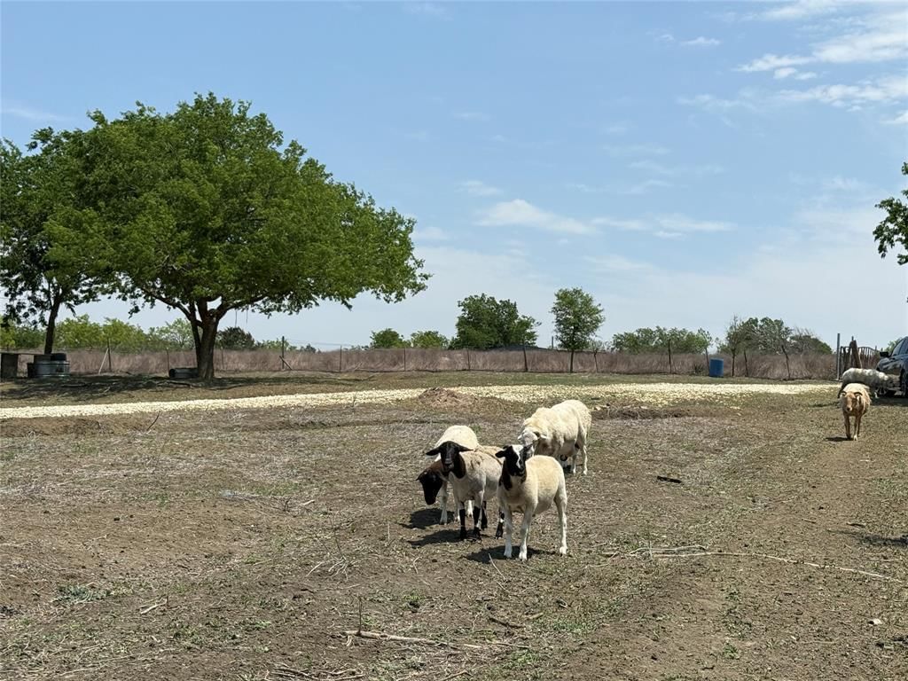 Photo 24