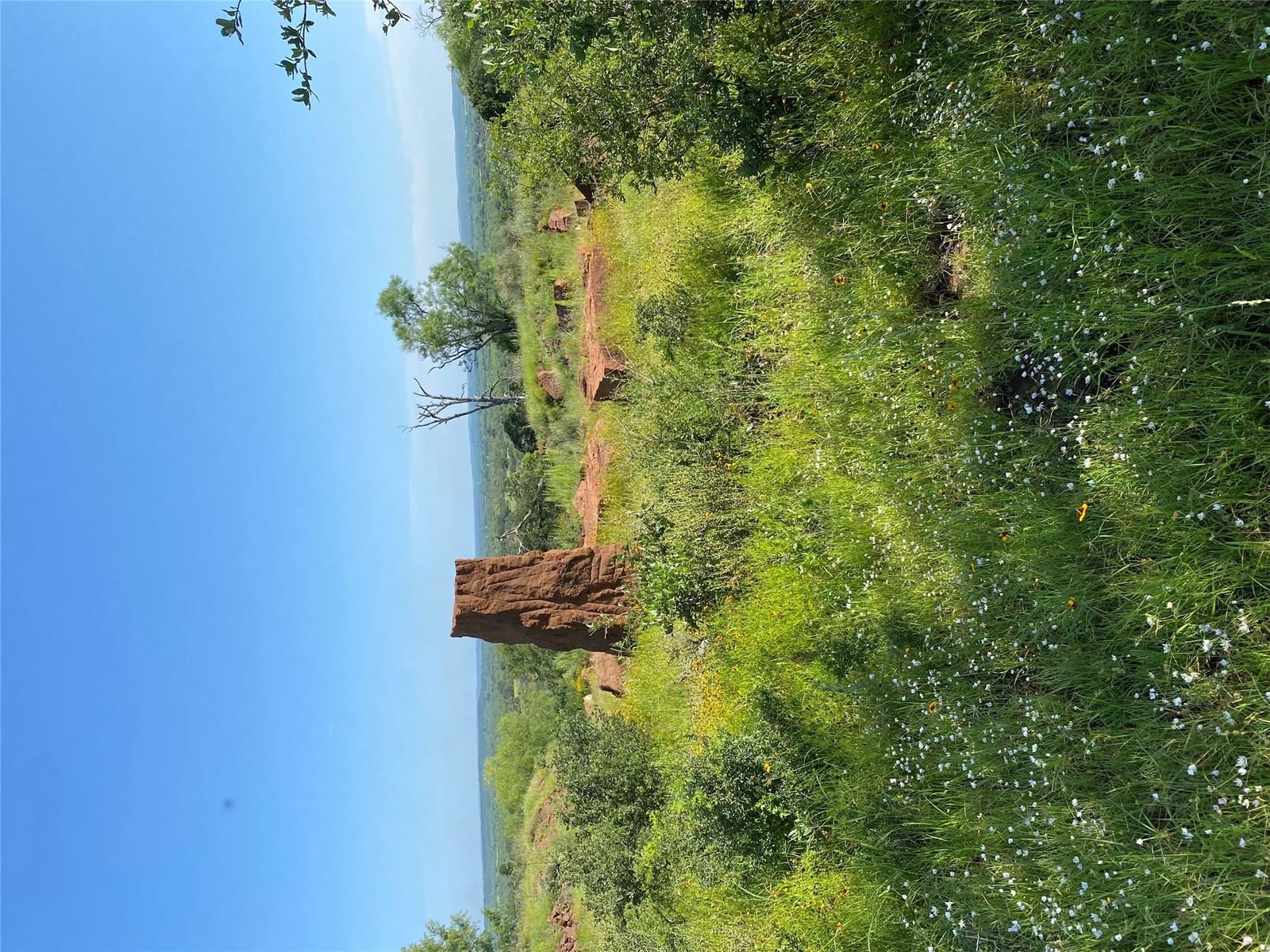 Lot 5 Art Hedwigs Hill RD - Photo 1
