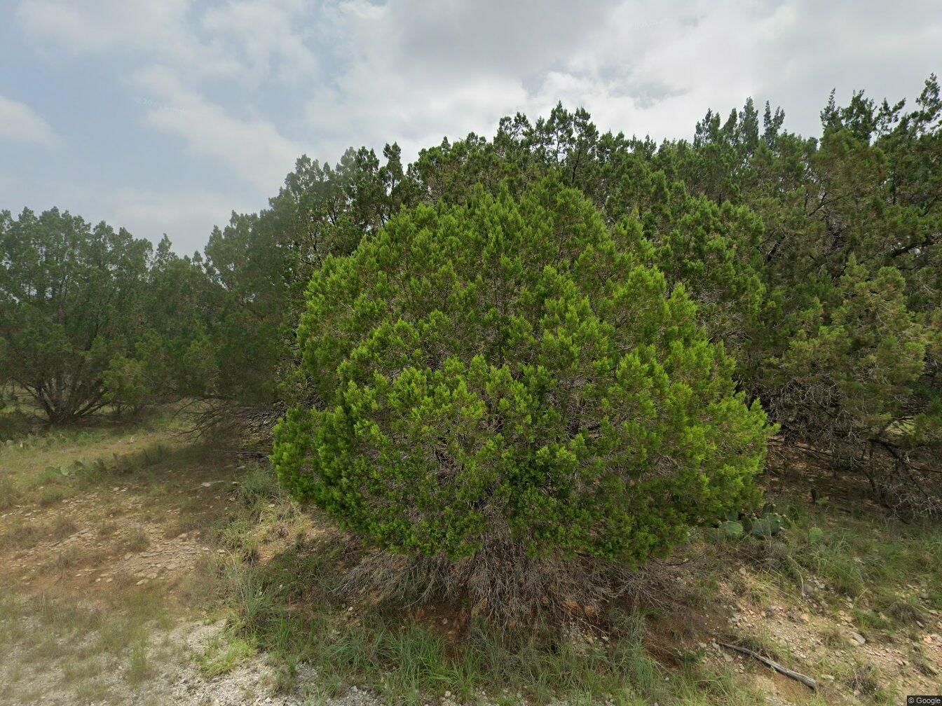 2709 CUSTER CV - Photo 1