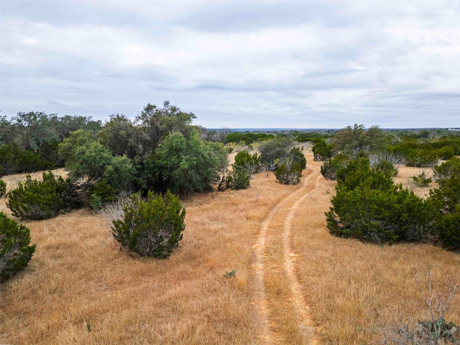 TBD County Road 200 - Photo 1