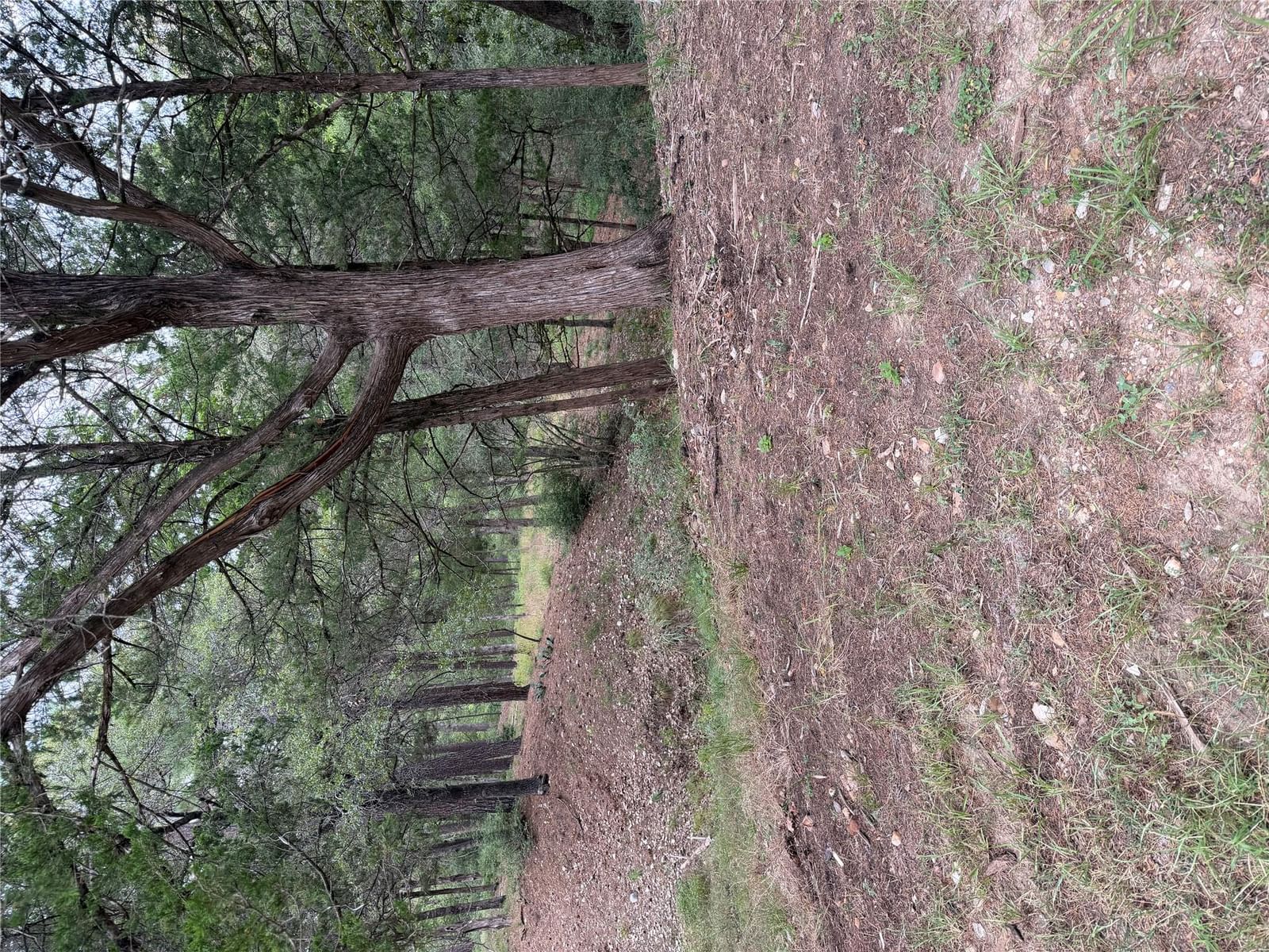 Lot 292 Aka CT - Photo 1